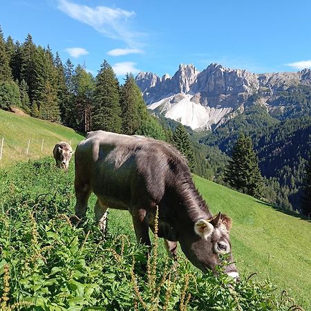 Zimmererhof Brixen Exteriér fotografie